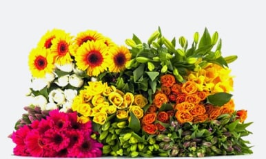 A bright bouquet of yellow, orange, red, and white flowers with plenty of green foliage.
